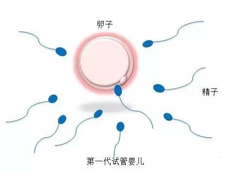 陈鎏主任